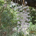 DSCN4508
