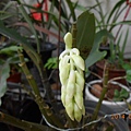 DSCN4591
