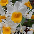 DSCN4589