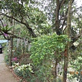 DSCN4550