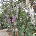 DSCN4548