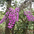 DSCN3128