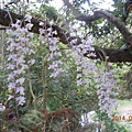 DSCN3133