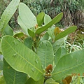 DSCN4687