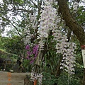 DSCN4660