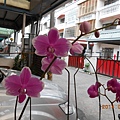 DSCN4787