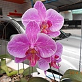DSCN4788