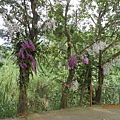 DSCN4658