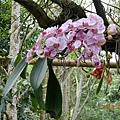 DSCN4827