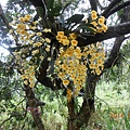 DSCN4840