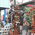DSCN4981