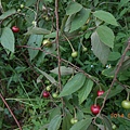 DSCN5147