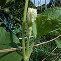 DSCN5213