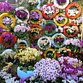 DSCN1916
