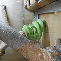 DSCN5491