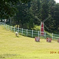DSCN5476