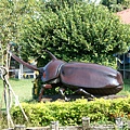 DSCN5474