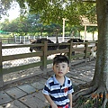 DSCN5475