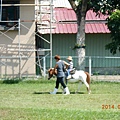 DSCN5502