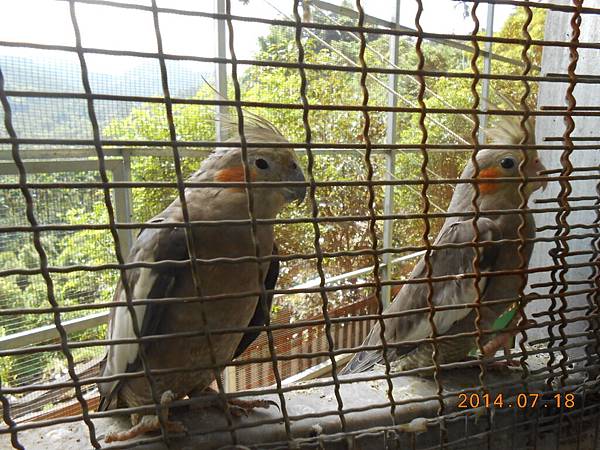 DSCN5496