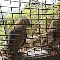 DSCN5496