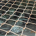DSCN5498