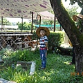 DSCN5512