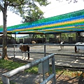 DSCN5499
