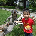 DSCN5585