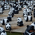 DSCN5633