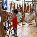 DSCN5769