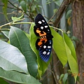 DSCN5823