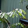DSCN5819