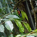 DSCN5821