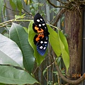 DSCN5824