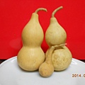 DSCN5869