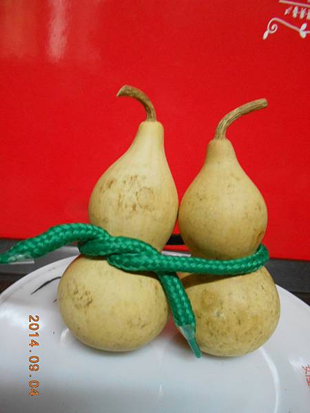 DSCN5879