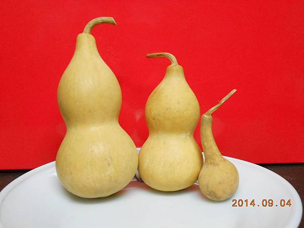 DSCN5872