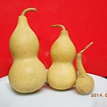 DSCN5872