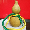 DSCN5884