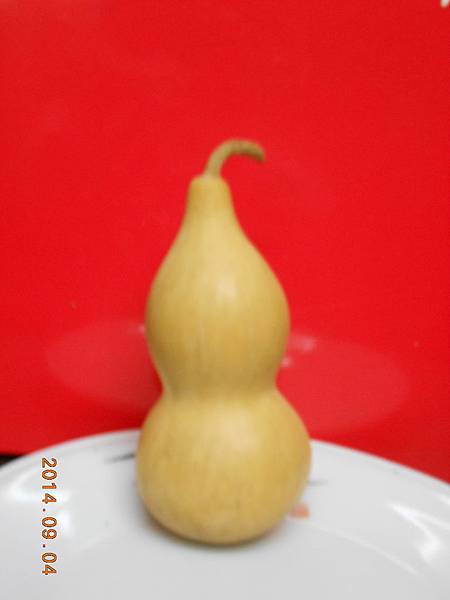 DSCN5866