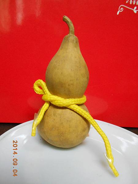 DSCN5876