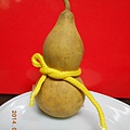 DSCN5876
