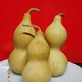 DSCN5874