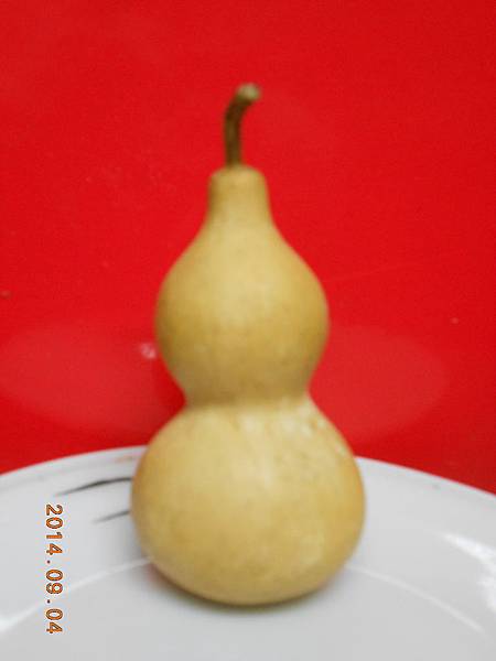 DSCN5862