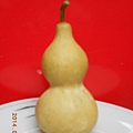 DSCN5862