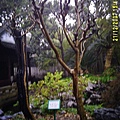 DIGI0082
