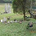 DSCN6158