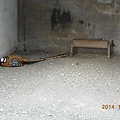 DSCN6160