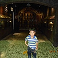 DSCN6146